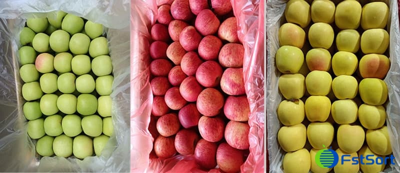 images/1662447959147clasificador de manzana.jpg